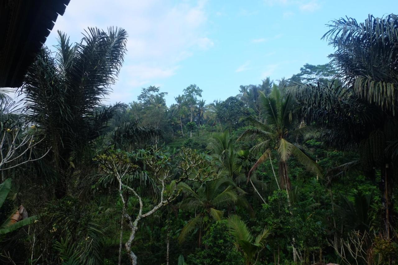 Villa Gunung Kawi House Tegallalang  Esterno foto