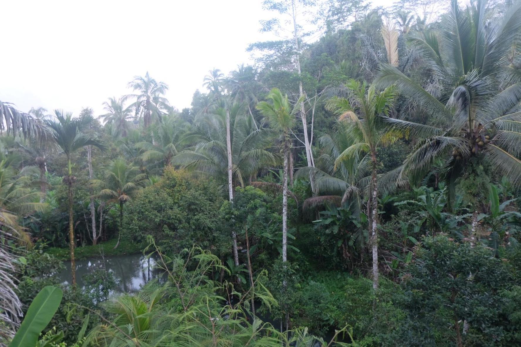 Villa Gunung Kawi House Tegallalang  Esterno foto