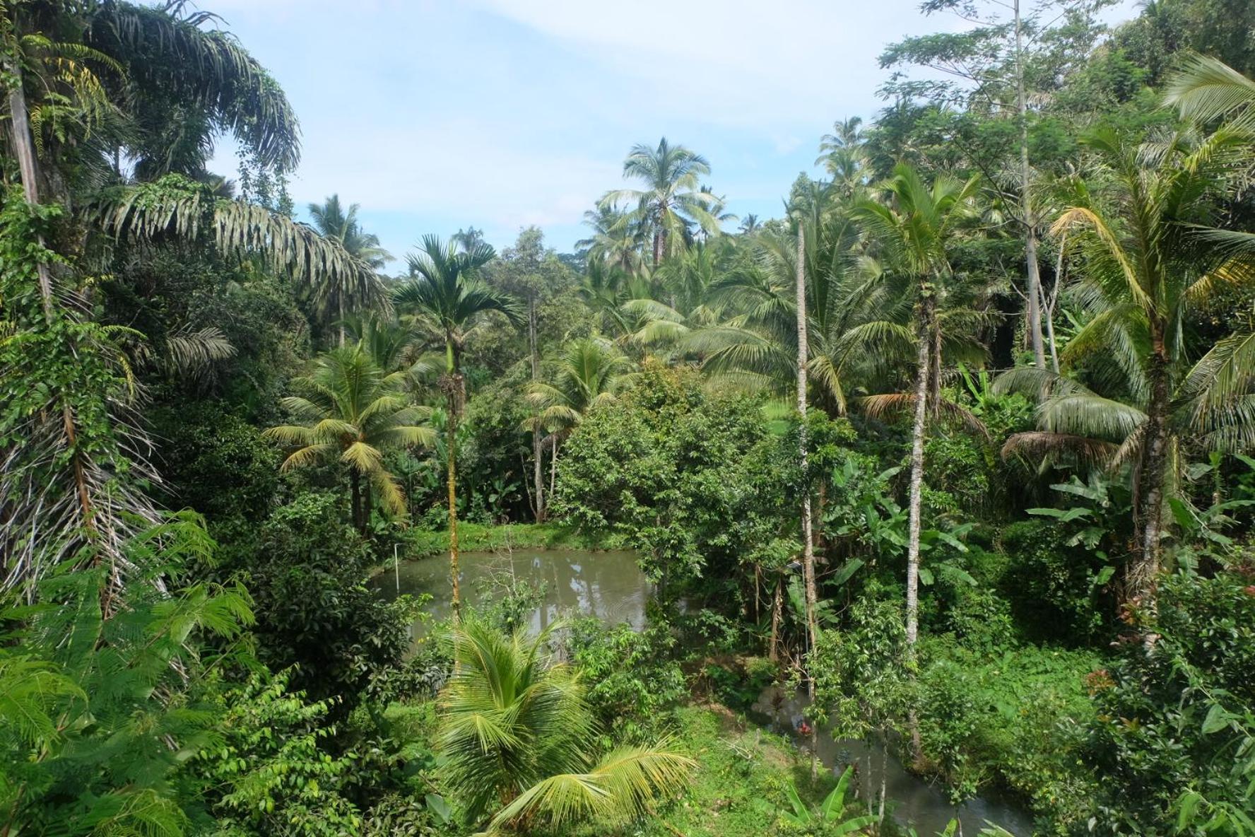 Villa Gunung Kawi House Tegallalang  Esterno foto