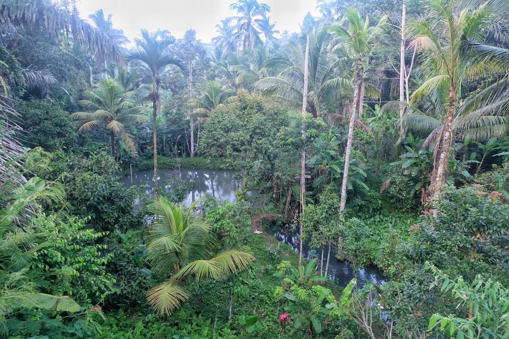 Villa Gunung Kawi House Tegallalang  Esterno foto